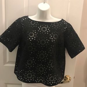 Banana Republic Lace Laser-cut Crop Top, Medium